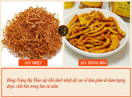 Sấy lạnh và sấy thăng hoa khác nhau như thế nào?